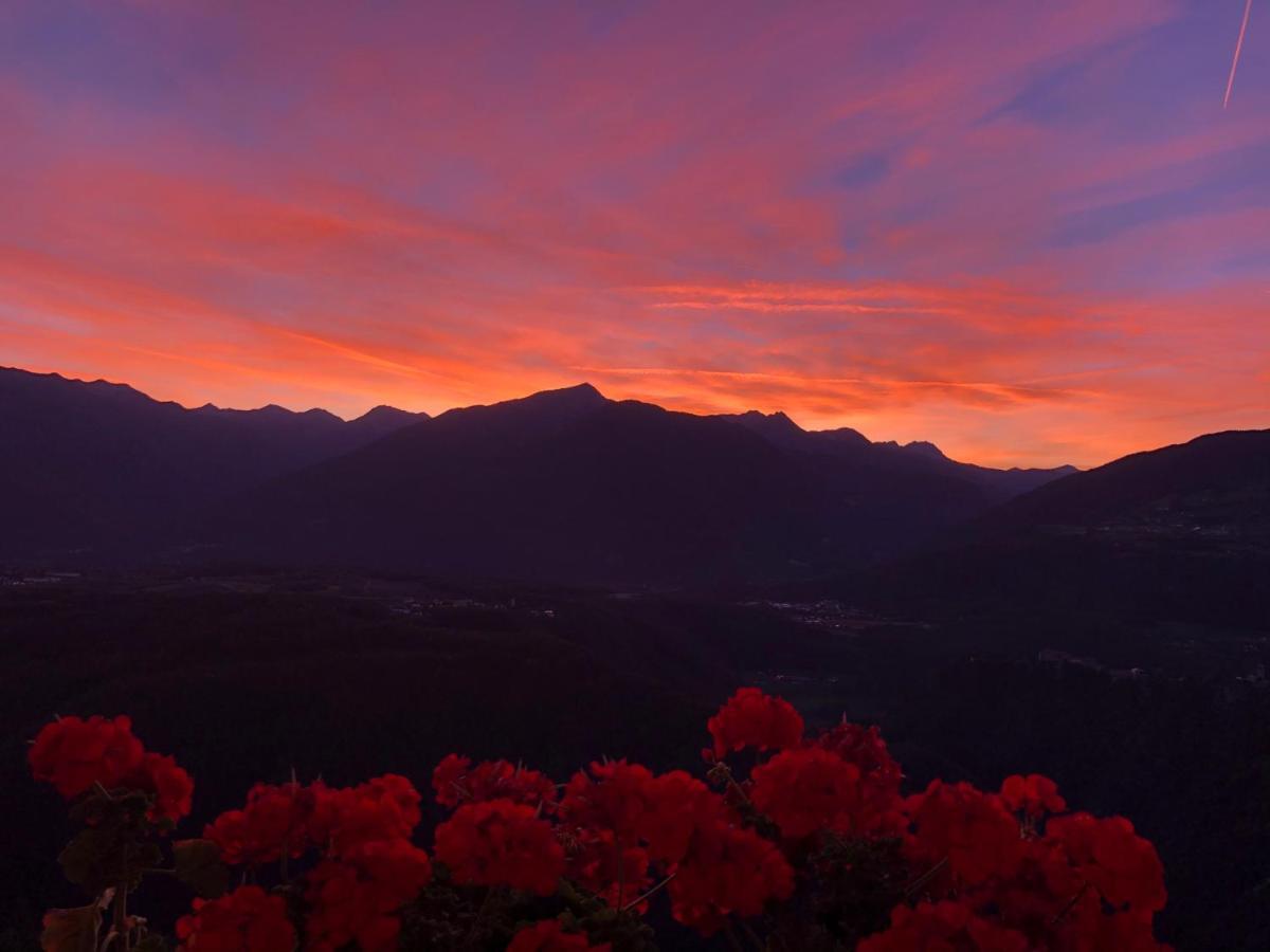 Forchnerhof Panorama - Dolomitenblick Роденго Экстерьер фото